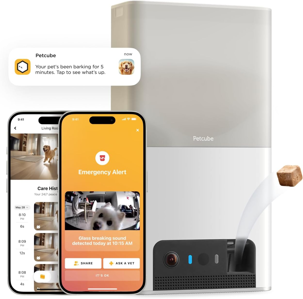 Petcube Bite Lite 2 Shop