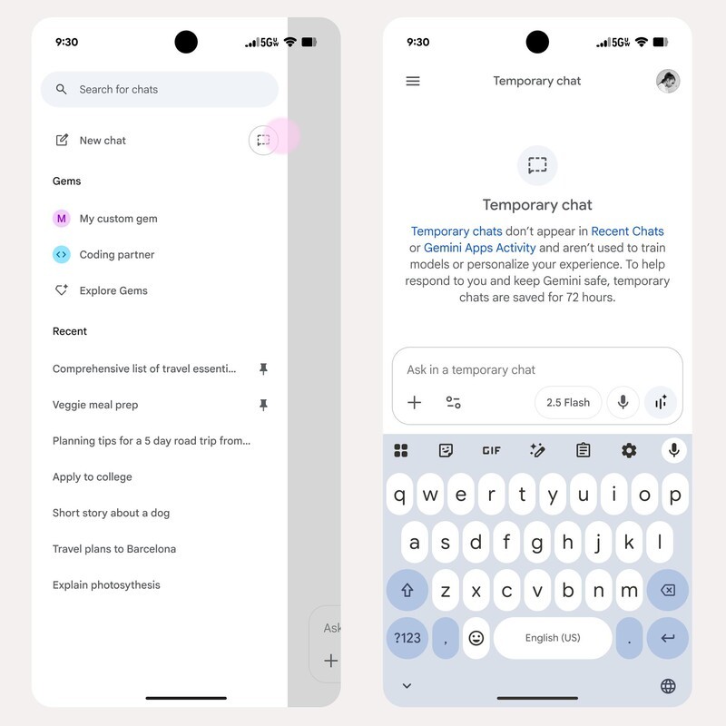 Gemini Temporary Chat