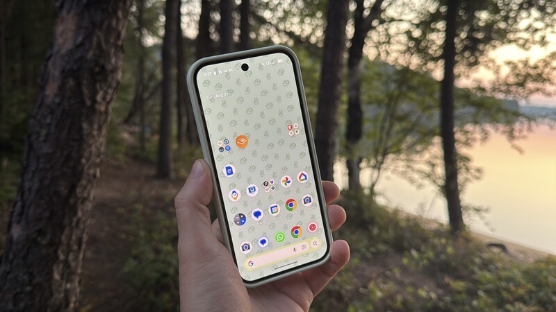 Pixel 10 Pro Generic Wallpaper Woods Hero