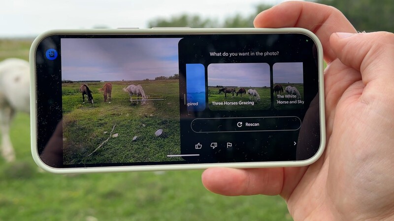 Three Horses Grazing Camera Coach