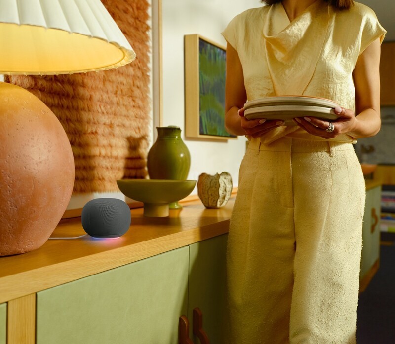 Google Home Speaker With Light Ring   Hazel Large