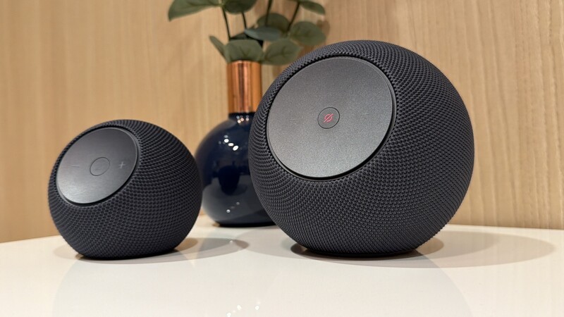 Echo Dot Max Vs Echo Studio