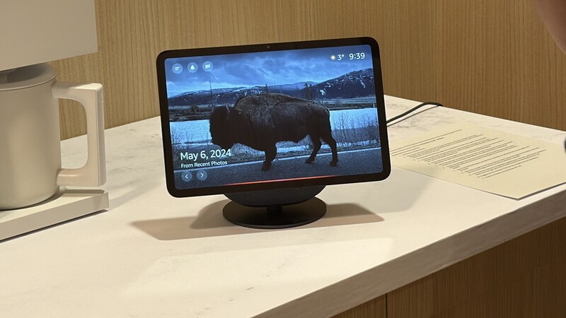 Echo Show 11 Bison