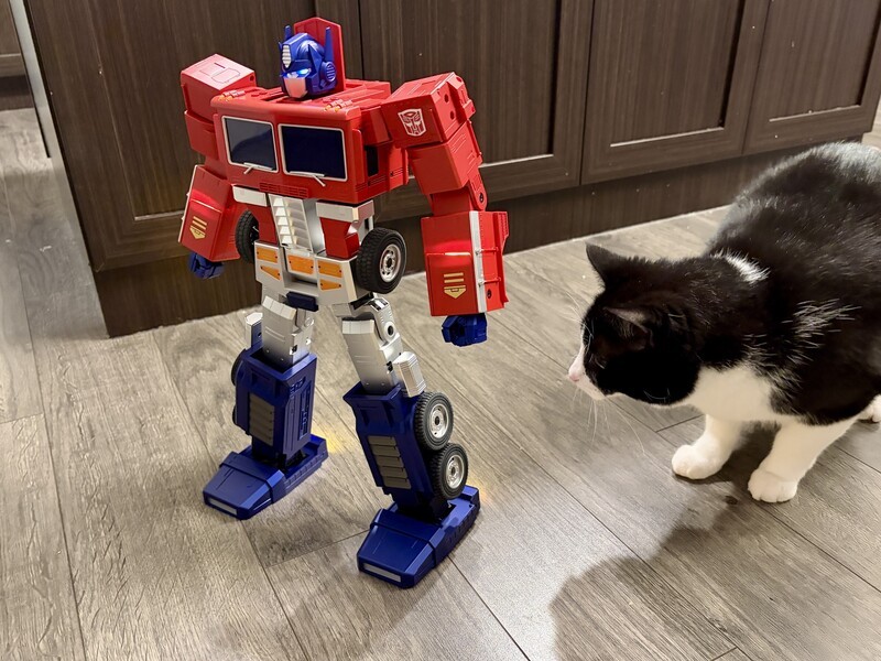 Robosen Optimus And Cat
