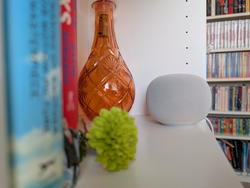 Google Home Speaker Bookshelf