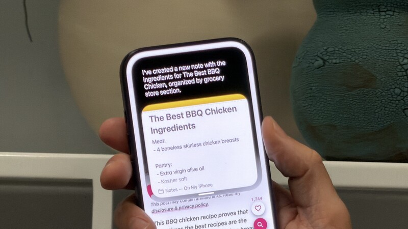 Siri Ai Bbq Recipe
