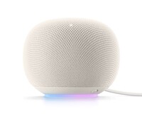 Google Home Speaker Shop
