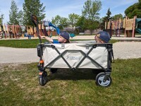 How an E Wagon Can be a Game-Changer for Busy Families