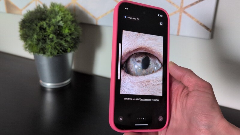 Pixel 9a Cat Eye Hero
